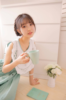 完美伴侣电视剧全集免费观看完整版